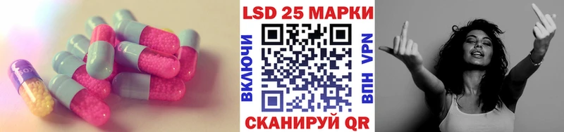 Купить  Волхов  Лсд 25 экстази ecstasy 