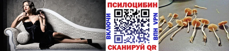 Купить где  Волхов  Галлюциногенные грибы Magic Shrooms 